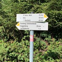 Wegweiser Richtung Guggenberg