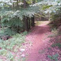 Pfad zurück ins Tal