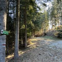 Nach dem Anwesen dann großteils ebenen Forstwegerls weiter Richtung Unternberg
