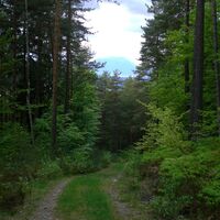 Pyramidenkogel Rundwanderweg - Blick auf Villacher Alpe
