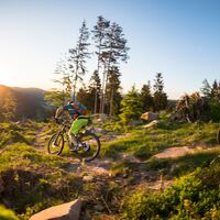 Baiersbronn Trails