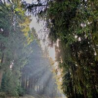 Herbstsonne