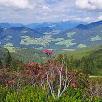 E Bike Schatzberg Auffach © Wildschönau Tourismus