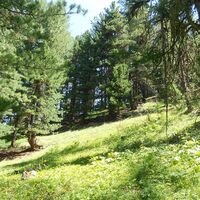 Sentiero Anello Cima Bosco