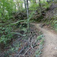 Aufstieg Klamm