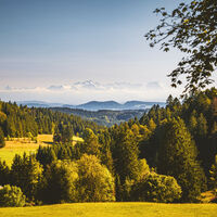 Alpensicht vom Steinernen Kreuz aus