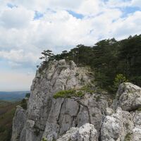 Weißenbach/Triesting - Neuhaus - Peilstein - Schwarzensee -  Hoher Lindkogel - Vöslauer Hütte - Bad Vöslau (Waldandacht)