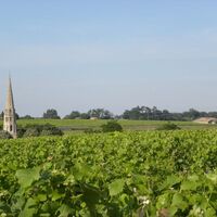 Village_Sauternes_Vignoble_800