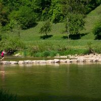Balancieren auf neuen Trittsteinen über die Donau