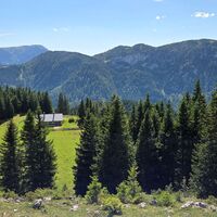 Blick zur Studentalm