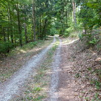 am Weg zur Hirschwand