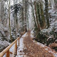 Brühl Hartberg im Winter