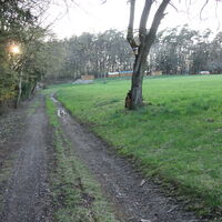 Am Feldweg vom Dachberg
