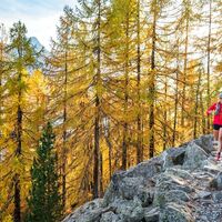 Trailrunner auf der Via Engiadina