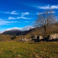 Grand Colombier