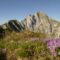 wir genießen das Wetter und die Aussicht