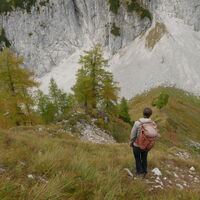 rauf ists bekanntlich leichter als runter, aber wir finden einen sicheren Weg hinunter