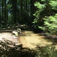 Zum Höllbachfall im Hotzenwald