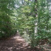 Wanderweg AL1