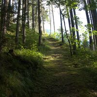 am Aufstiegssteig
