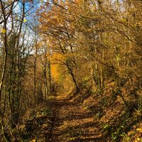 Massiv des Grand Colombier