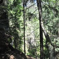 Bergbaufolgelandschaft