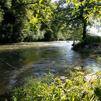 Wiese bei Maulburg