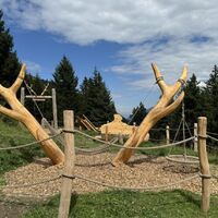 Station Rote Hirsch