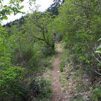 Naturnahe Pfade mit einheitlicher Markierung