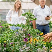 Naturgartenführung