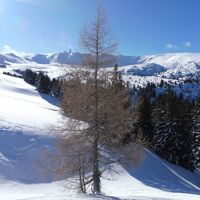 Winterlandschaft im Kar