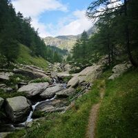 Tal der Pila