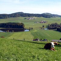 Der Blick auf die Egelseen in Richtung Tannberg.
