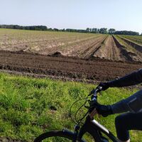 Radrundweg R 18 Herzebrock-Clarholz