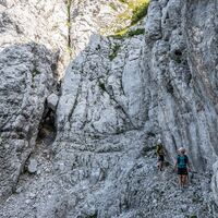 Scheffau_Abstieg Tuxeck_Wilder Kaiser
