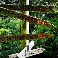 "Historischer" Wegweiser an der Landgrafenbuche