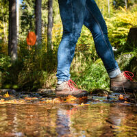 Die Melodie des Wassers. An der Lengwitz/Ilm