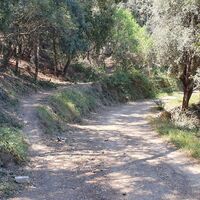 13.5 km Pfad Biodola-Schleife