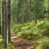 Pöyhiänniemen Naturpfad