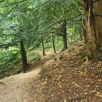 Trail ins Tal