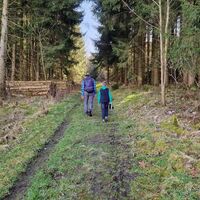 Wanderer am Vogelsang Meschede