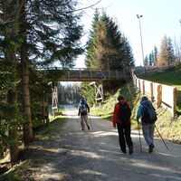Sonnwendsteinstraße