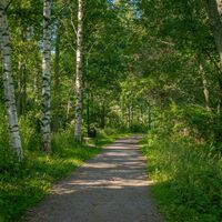 Nordic-Walking-Strecke