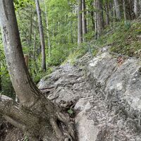 Es geht gleich alpinsteigartig los -- man muss aber nicht extremklettern können für diese Wanderung, nur a bissl Trittsicherheit und Kondi ist Voraussetzung