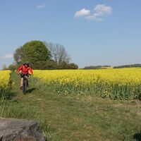 Roter Berg - Schwedenschanze