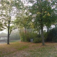 Dürrenbüchig im Nebel