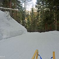 Kühle Luft umgibt uns und lässt uns die Geschwindigkeit spüren.
