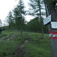 nach der Alm scheiden sich die Wege