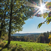 Natursteig Sieg Etappe 10