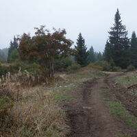 Aufstieg zum Gipfel Monte Roen